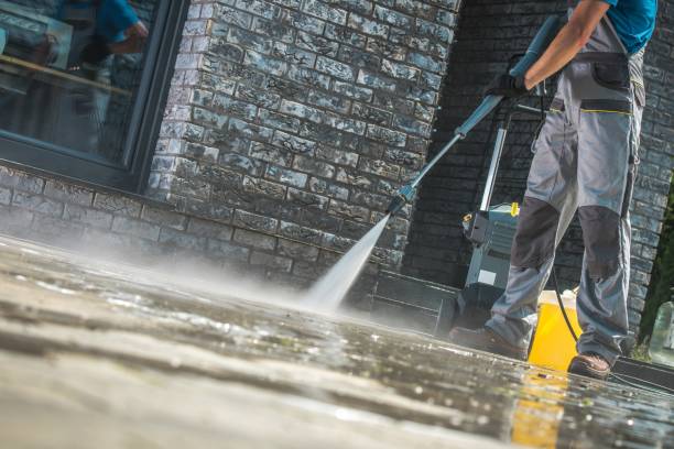 Best Building Exterior Washing  in Kentwood, MI