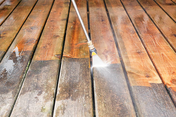 Best Roof Washing  in Kentwood, MI